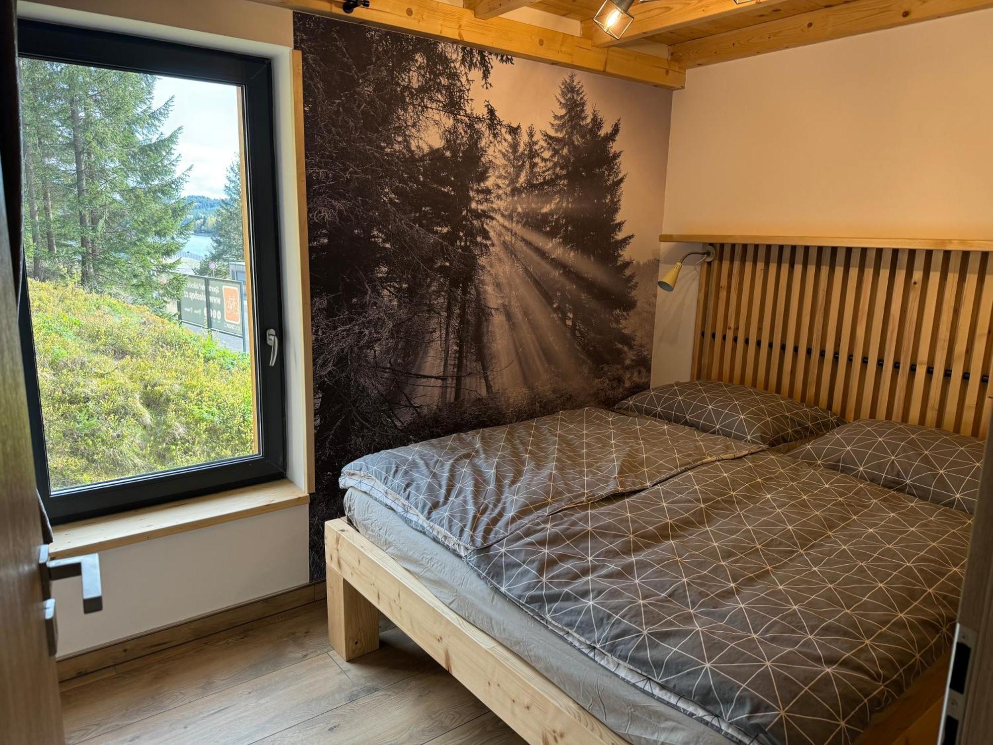 Flaje Apartmany Český Jiřetín 外观 照片